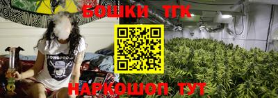 гашик Бузулук