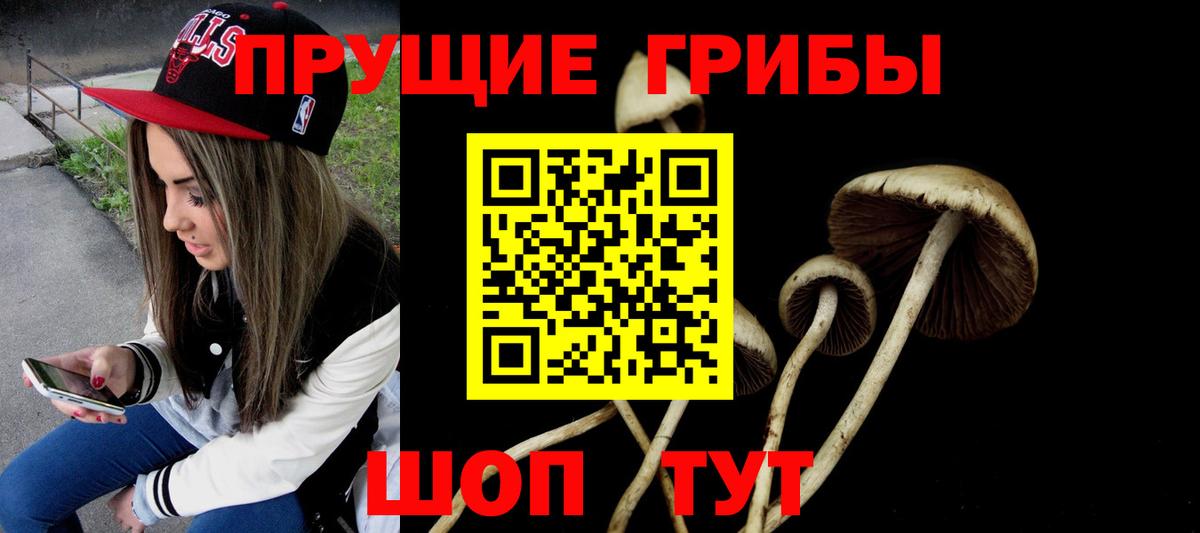 Галлюциногенные грибы Psilocybine cubensis  Вход с VPN  Павловский Посад  Галлюциногенные грибы мицелий 